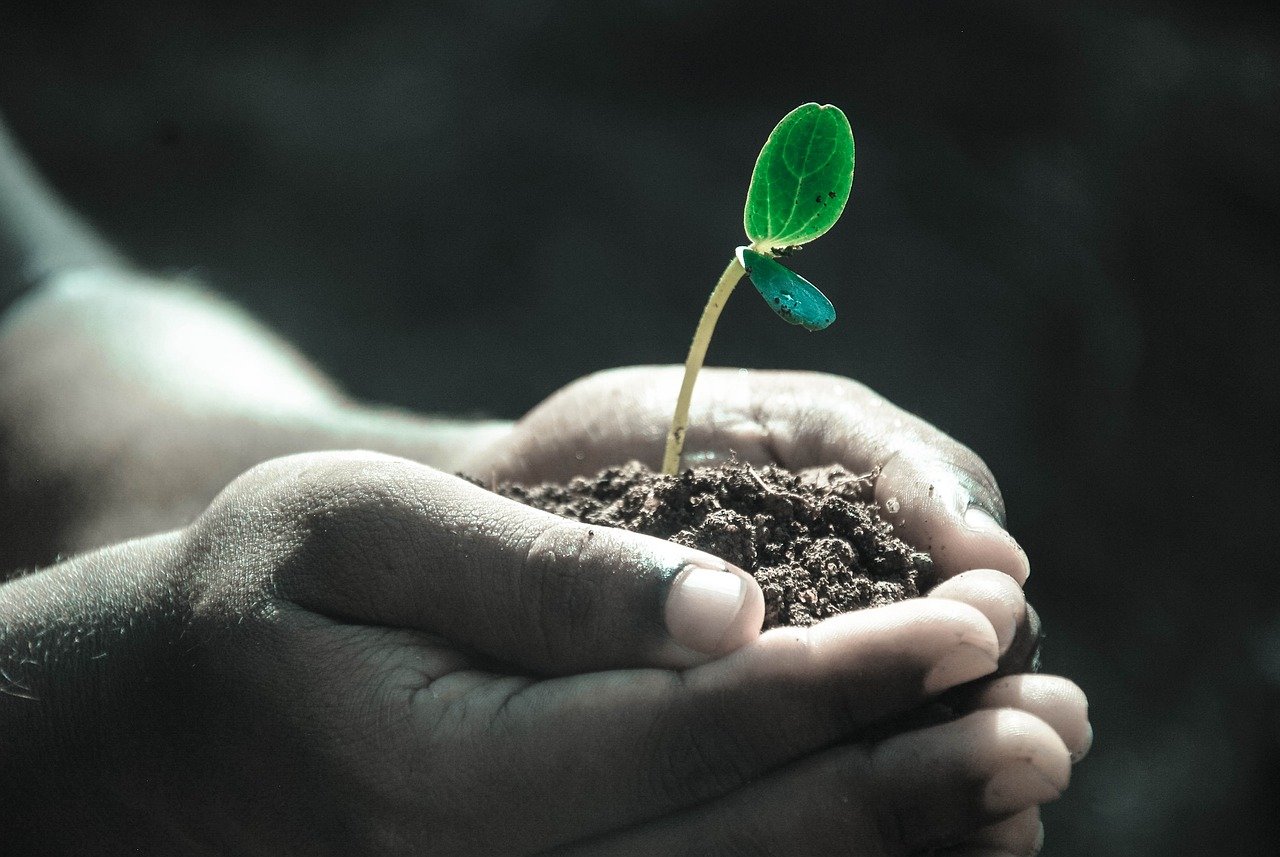 World Soil day 2023