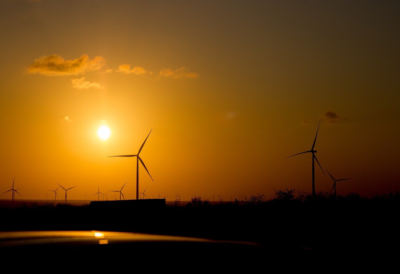 National Energy Conservation Day 2023: उर्जा संरक्षण प्रतियोगिता के विजेताओं को सम्मानित करेंगी राष्ट्रपति